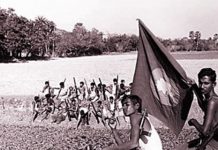 ৩১ জানুয়ারি মিরপুর মুক্ত দিবস